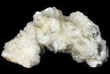 Calcite Crystal Cluster with Pyrite - Morocco #133711-2